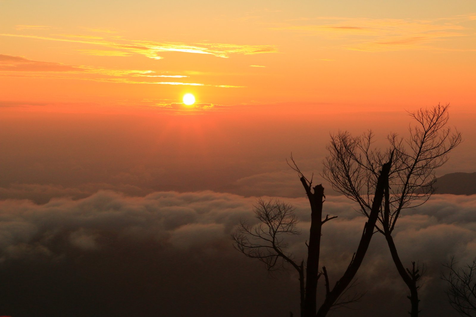 Panduan Lengkap: Cara Mencari Travel Purwokerto ke Dieng yang Menyediakan Paket Wisata